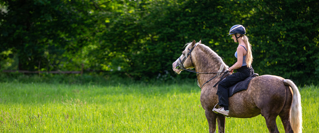 The Guide for Horseback Riding in Florida in 2026
