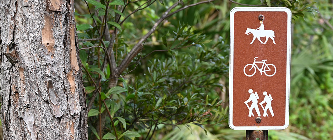 The Guide for Horseback Riding in Florida in 2026