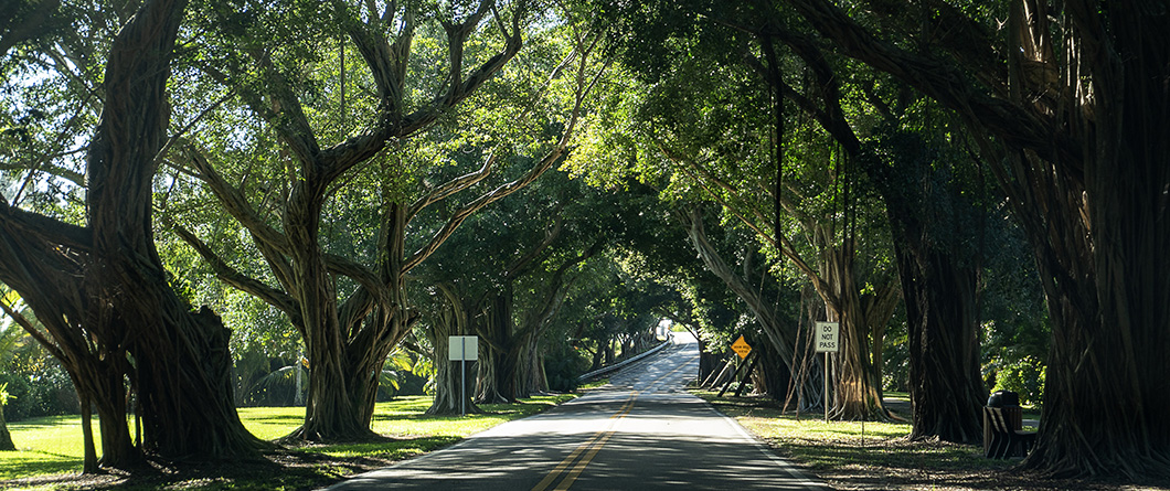 A Cyclist's Guide to Florida's Best Scenic Bike Trails in 2026