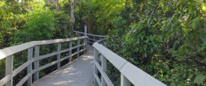 A Cyclist's Guide to Florida's Best Scenic Bike Trails in 2026