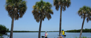 A Cyclist's Guide to Florida's Best Scenic Bike Trails in 2026
