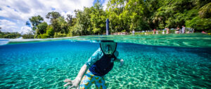 A Diver's Guide to Florida's Best Scuba Diving and Snorkeling in 2026