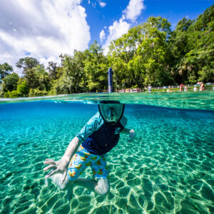 A Diver's Guide to Florida's Best Scuba Diving and Snorkeling in 2026