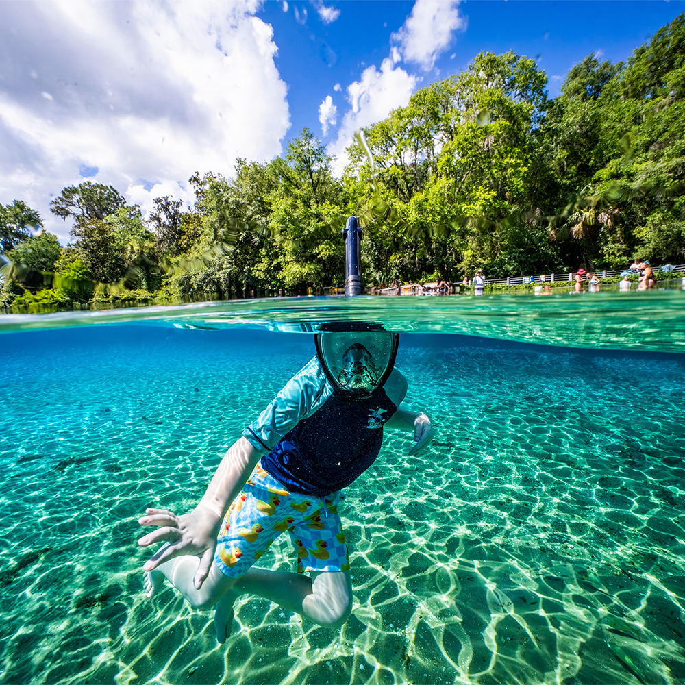 A Diver's Guide to Florida's Best Scuba Diving and Snorkeling in 2026
