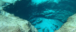 A Diver's Guide to Florida's Best Scuba Diving and Snorkeling in 2026