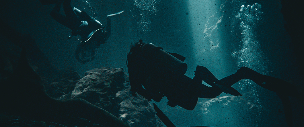 A Diver's Guide to Florida's Best Scuba Diving and Snorkeling in 2026