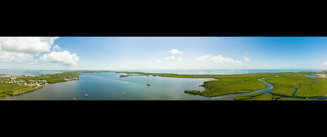 A Diver's Guide to Florida's Best Scuba Diving and Snorkeling in 2026