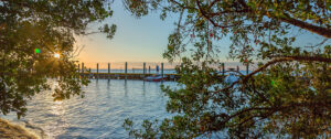 A Diver's Guide to Florida's Best Scuba Diving and Snorkeling in 2026