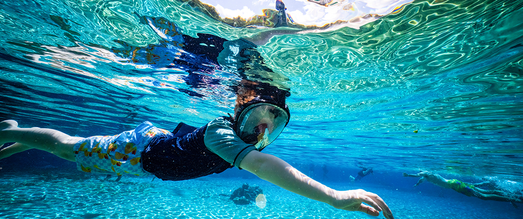 A Diver's Guide to Florida's Best Scuba Diving and Snorkeling in 2026