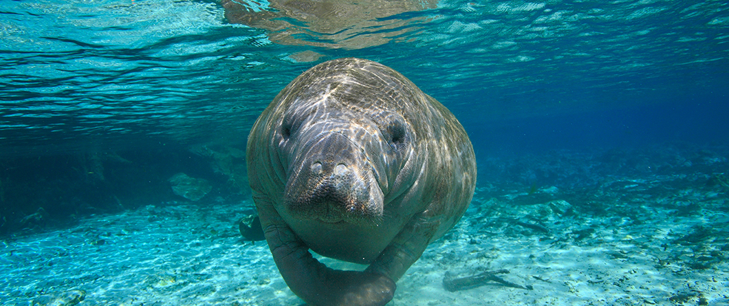 A Photographer's Guide to Florida's Best Nature Photography Spots