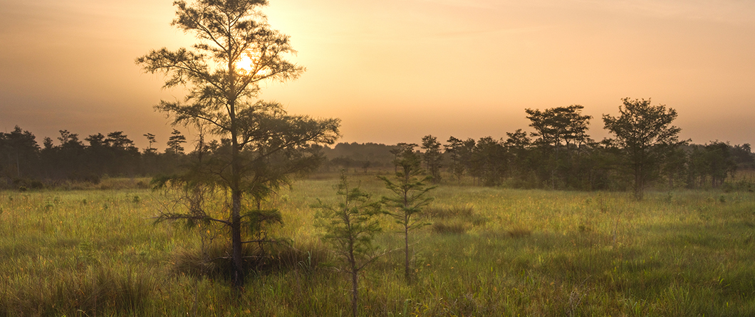 A Photographer's Guide to Florida's Best Nature Photography Spots