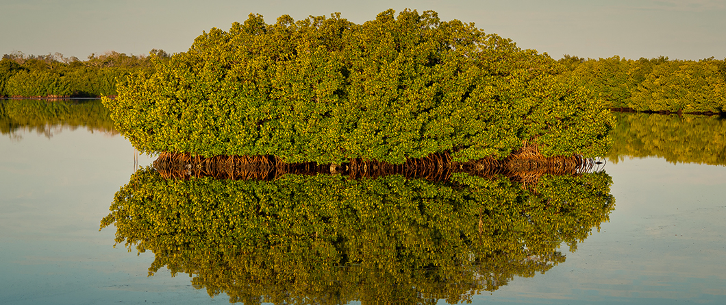 A Photographer's Guide to Florida's Best Nature Photography Spots