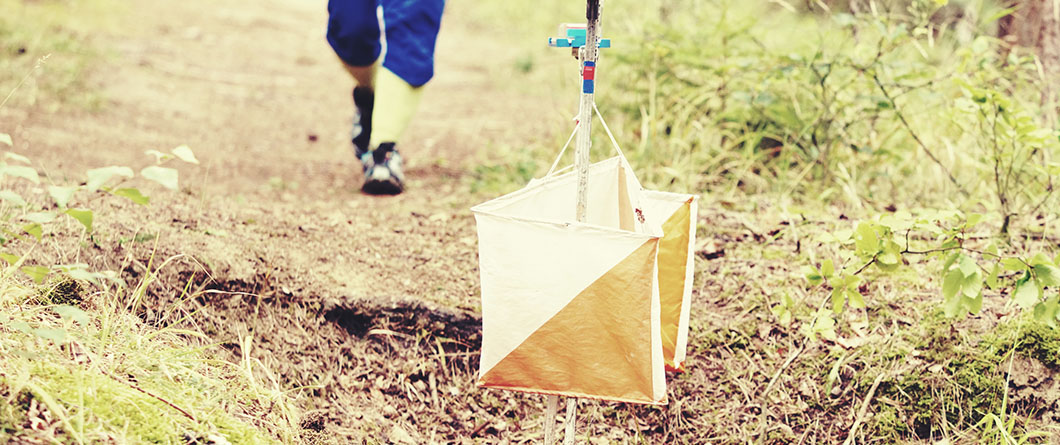The Complete Guide to Geocaching Adventures in Florida