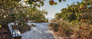 The Complete Guide to Geocaching Adventures in Florida