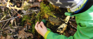 The Complete Guide to Geocaching Adventures in Florida