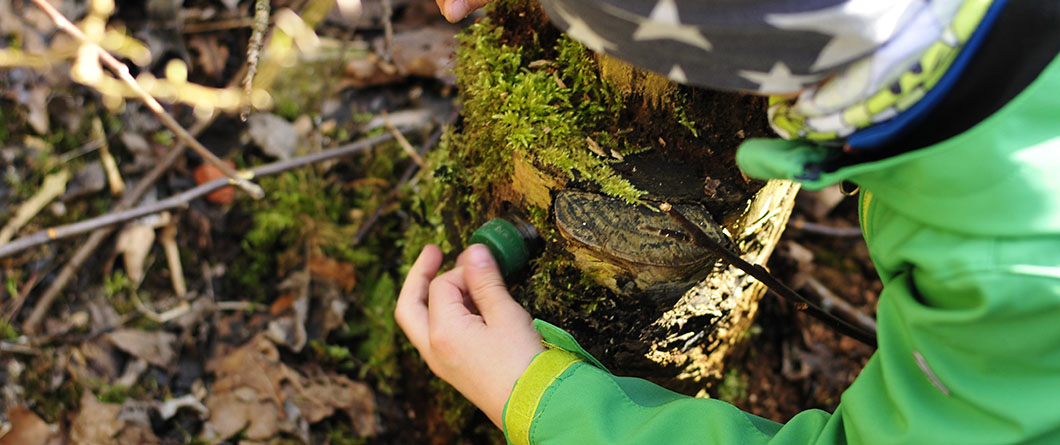 The Complete Guide to Geocaching Adventures in Florida