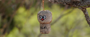 The Complete Guide to Geocaching Adventures in Florida
