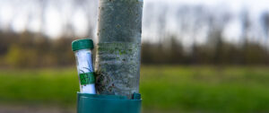 The Complete Guide to Geocaching Adventures in Florida
