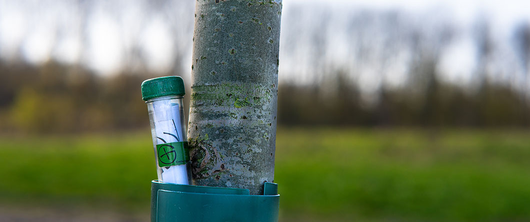 The Complete Guide to Geocaching Adventures in Florida