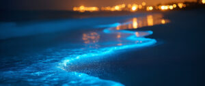 The Complete Guide to Bioluminescent Kayaking