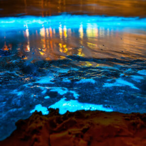 The Complete Guide to Bioluminescent Kayaking