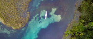 The Complete Guide to Bioluminescent Kayaking