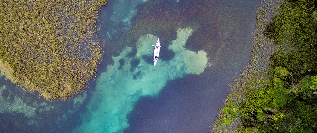 The Complete Guide to Bioluminescent Kayaking
